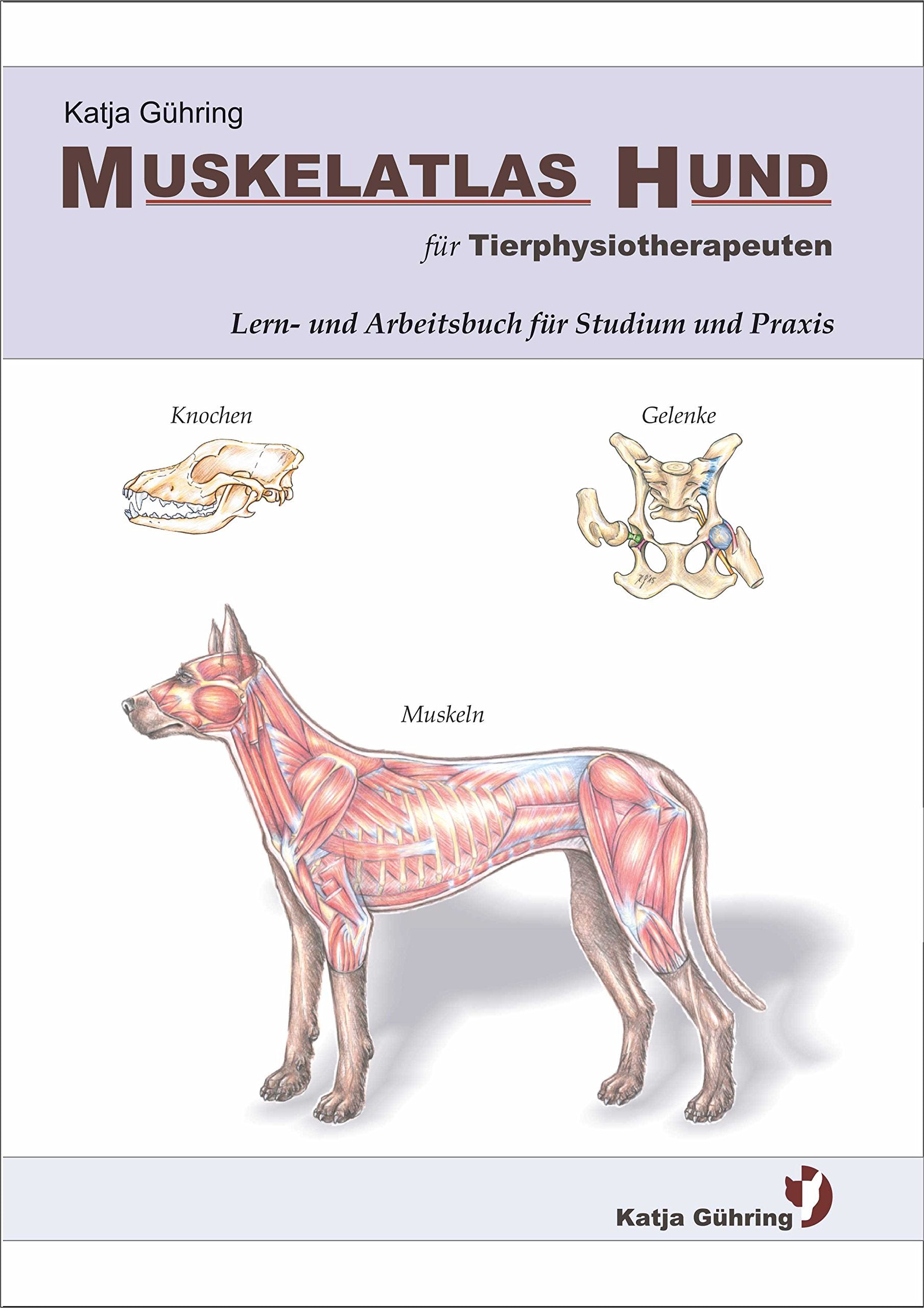 Muskelatlas Hund: für Tierphysiotherapeuten, Lern- und Arbeitsbuch für Studium und Praxis Medicine