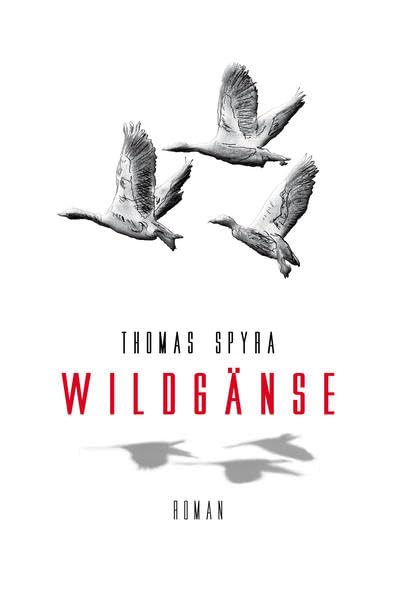 Wildgänse: Eine Reise durch Europa im 18. Jahrhundert. (Meister Bartel: Fränkische Familiensaga) Contemporary literature