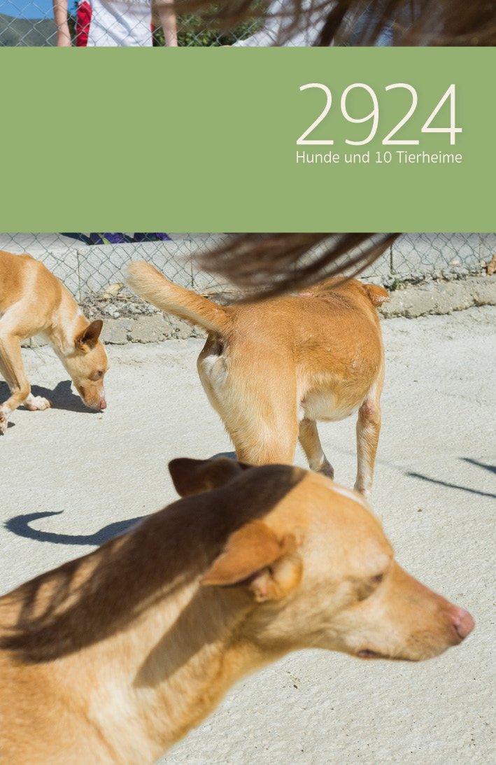 Dörr, M: 2924 Hunde und 10 Tierheime : FotobuchRoman Contemporary literature