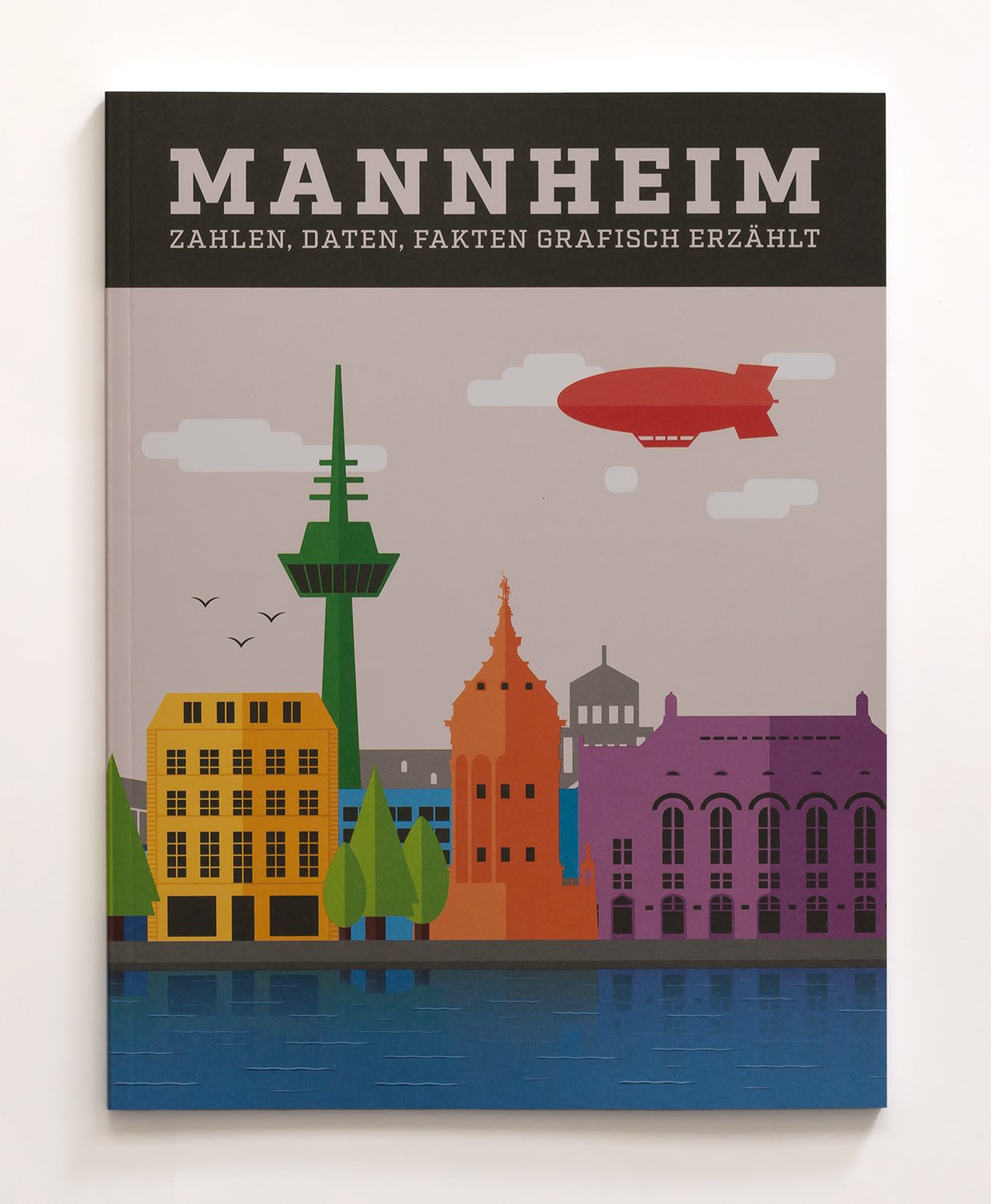 Mannheim - Zahlen, Daten, Fakten grafisch erzählt - Rupsch, Christoph book