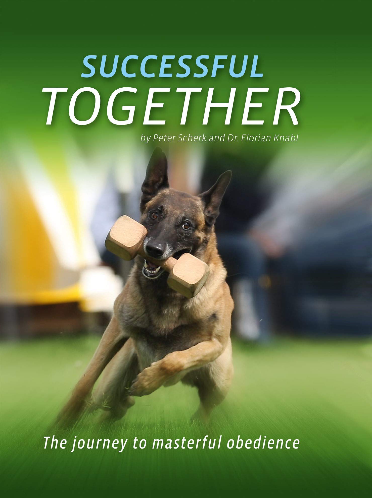 Successful Together - The journey of masterful obedience Books
