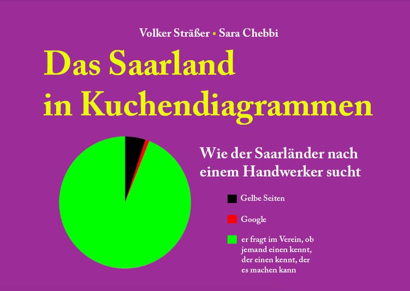 Das Saarland in Kuchendiagrammen - Chebbi, Sara book