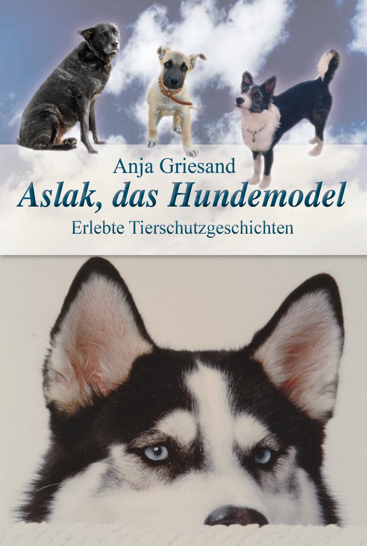 Aslak, das Hundemodel: Erlebte Tierschutzgeschichten Fiction