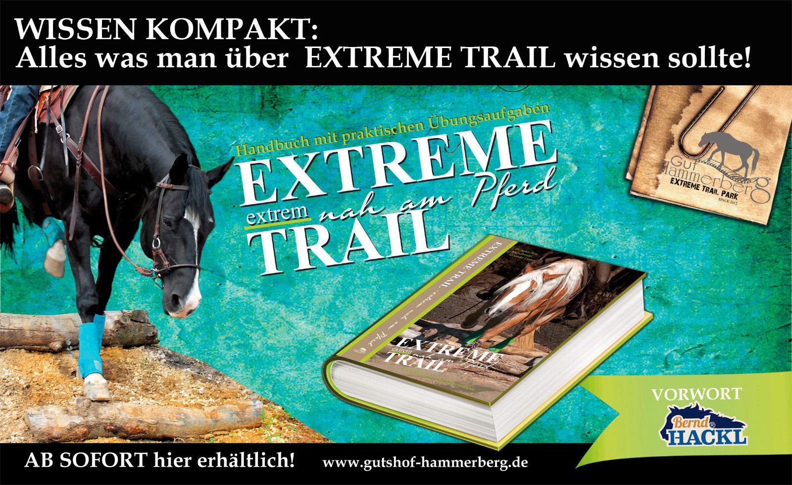 Extreme Trail extrem nah am Pferd Handbuch mit praktischen Übungsaufgaben Books
