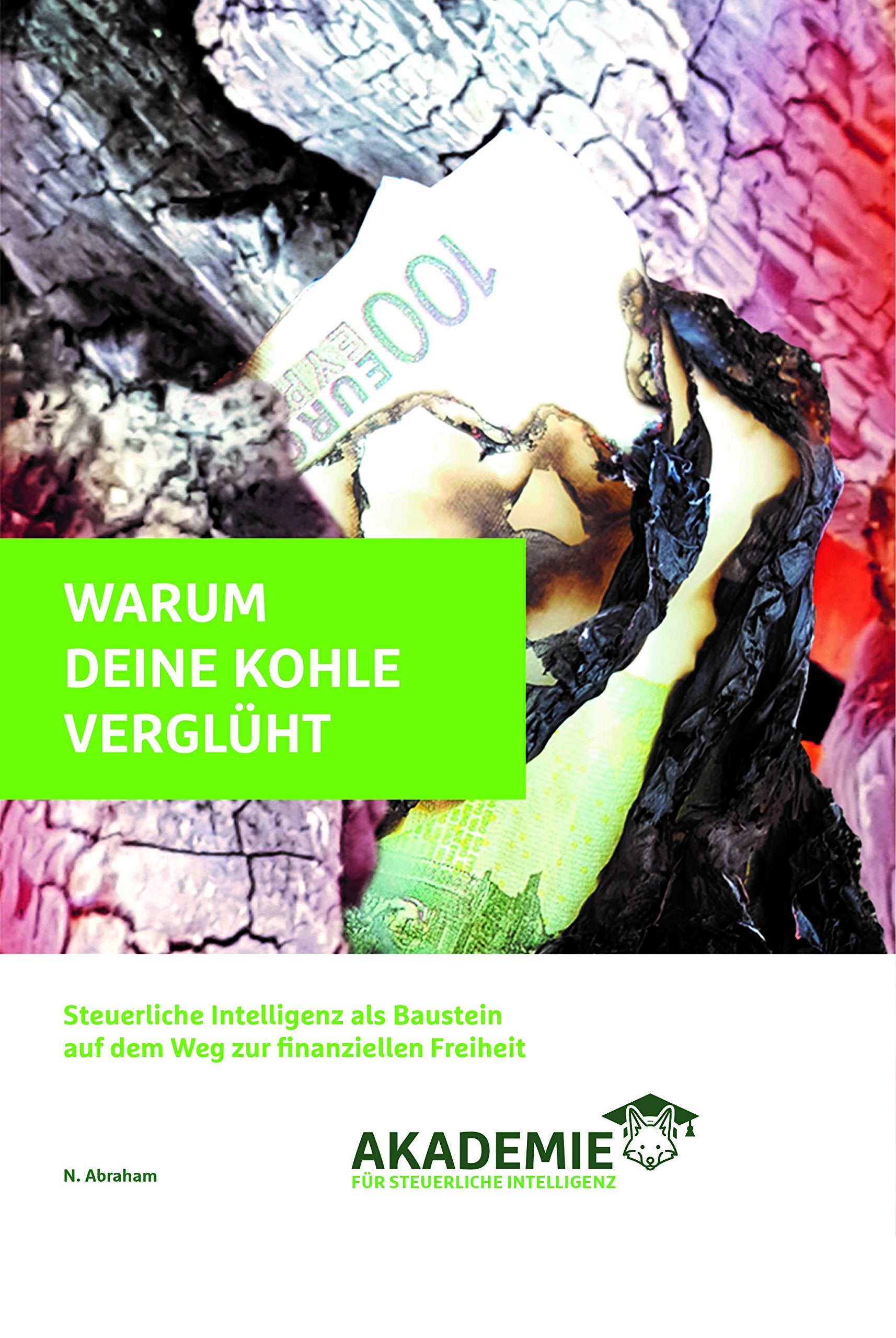 Warum Deine Kohle Verglüht - Steueroptimierung für Arbeitnehmer, Selbstständige, Unternehmer, Vermieter und Kapitalanleger Books