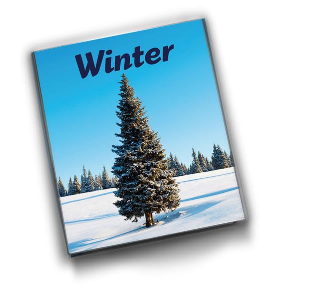 Winter: Ein Buch für Menschen mit Demenz (Jahreszeiten-Reihe) Medicine