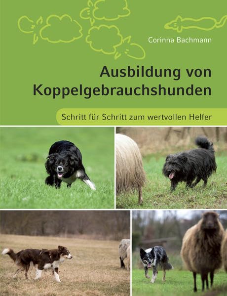 Ausbildung von Koppelgebrauchshunden: Schritt für Schritt zum wertvollen Helfer Pets