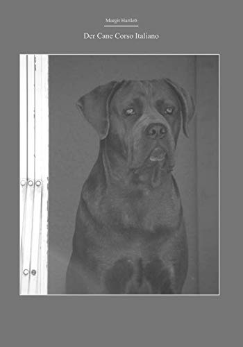 Der Cane Corso Italiano Pets