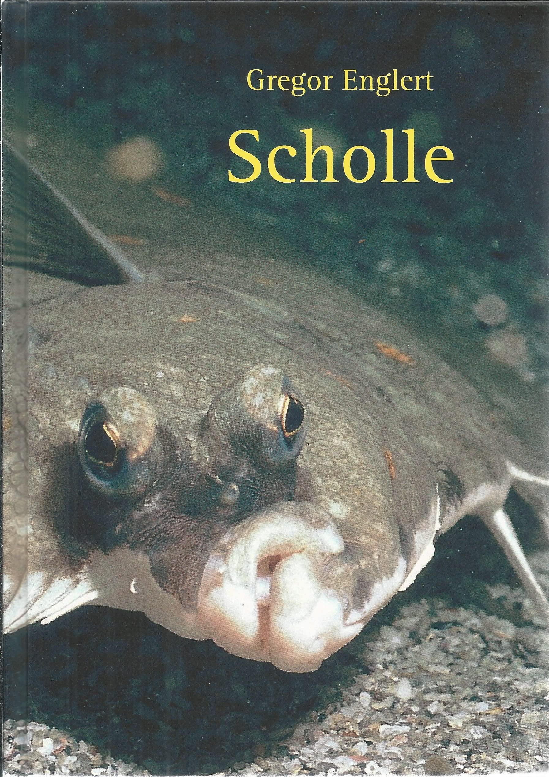 Scholle book