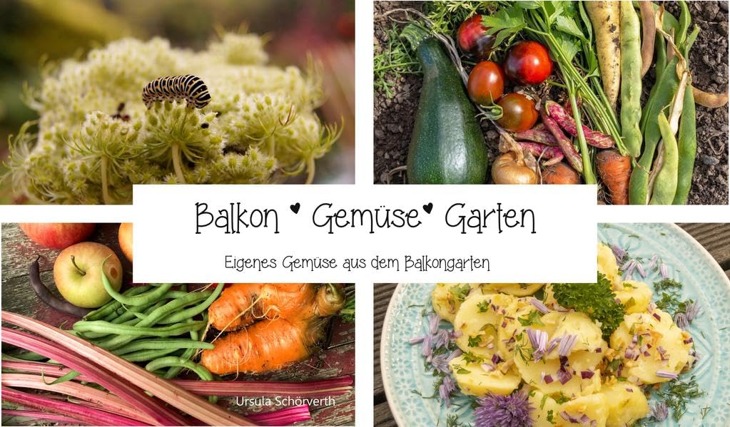 Balkon Gemüse Garten: Urbangardening - Eigenes Gemüse aus dem Balkongarten Garden & Plants