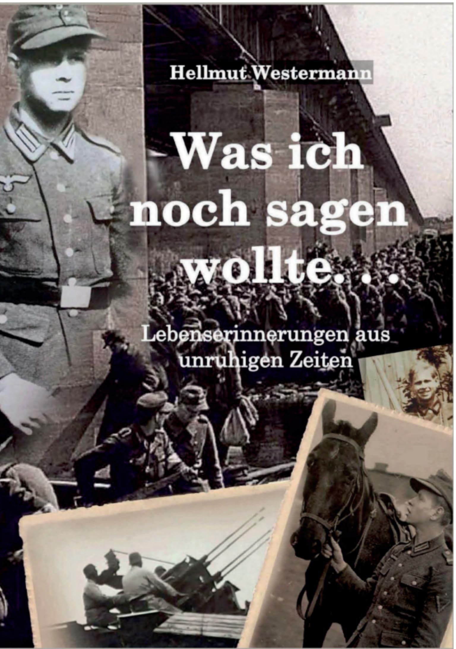 Hellmut Westermann Was ich noch sagen wollte …: Lebenserinnerungen aus unruhiger Zeit Books