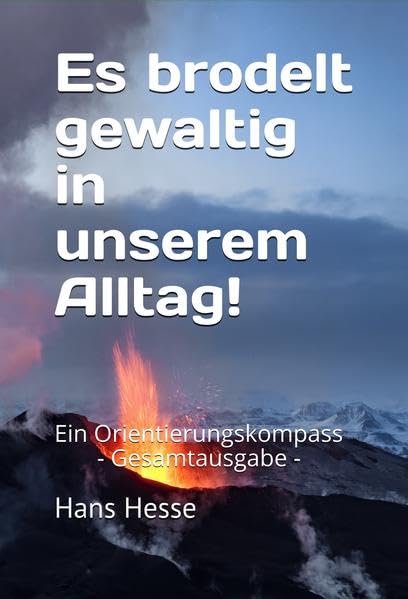 Es brodelt gewaltig in unserem Alltag!: Ein Orientierungskompass - Gesamtausgabe - Contemporary literature