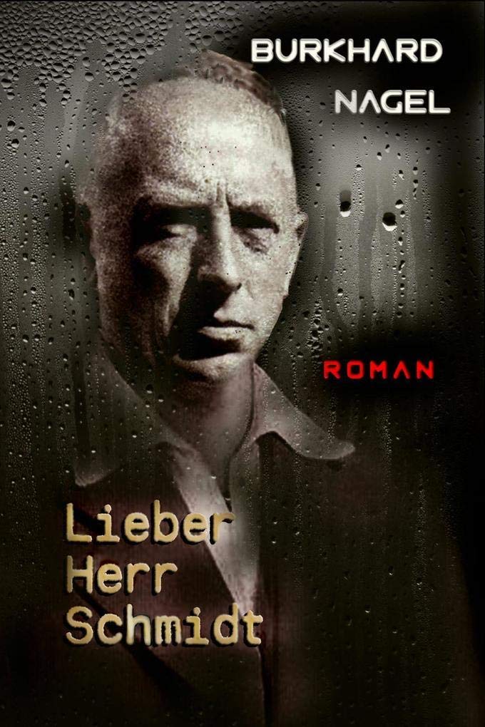 Lieber Herr Schmidt Contemporary literature Books