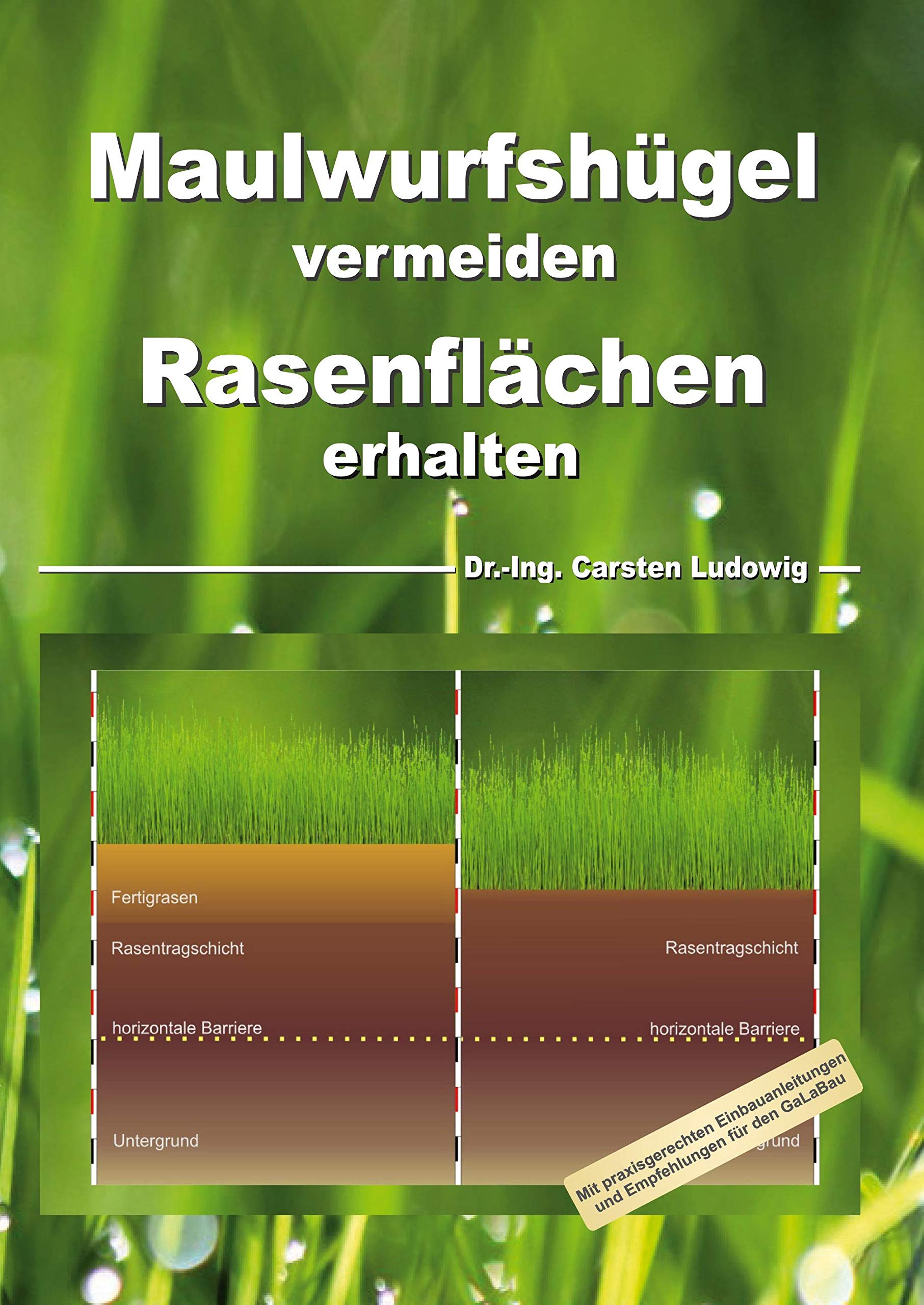 Maulwurfshügel vermeiden Rasenflächen erhalten Business & Technology