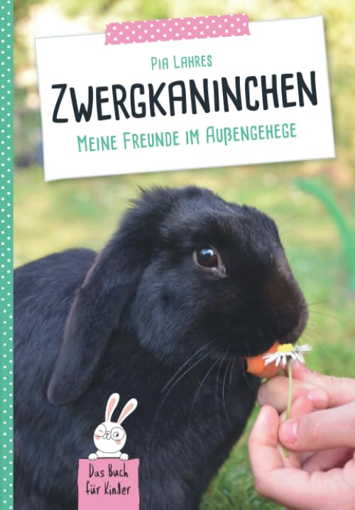 Zwergkaninchen: Meine Freunde im Außengehege Pets