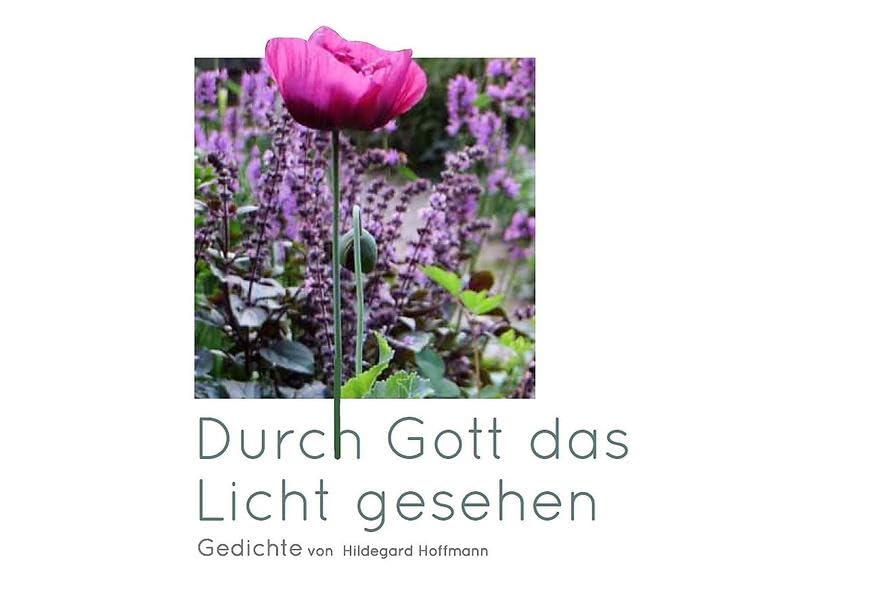 Durch Gott das Licht gesehen Contemporary literature Books