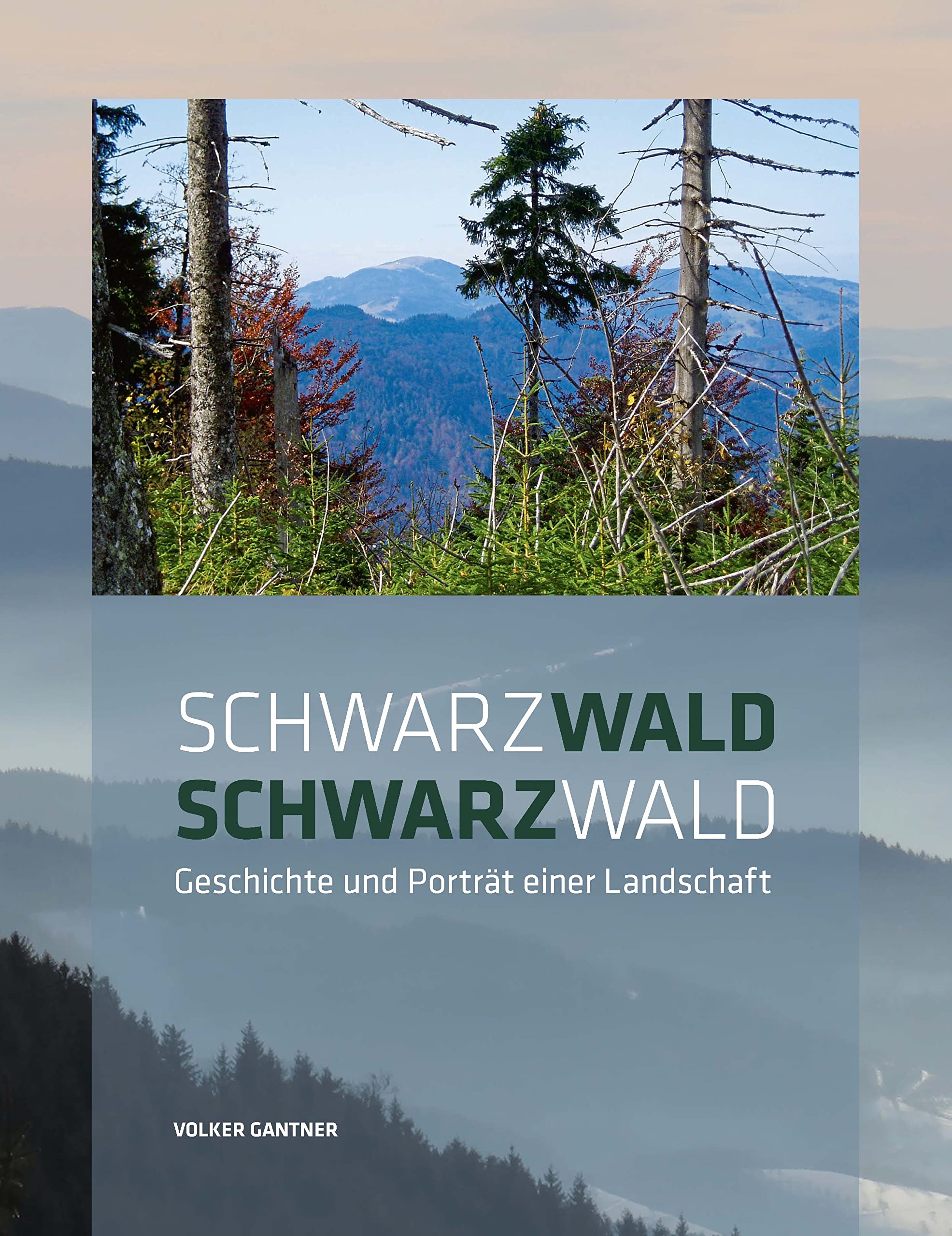 Schwarzwald, Schwarzwald, Geschichte und Porträt einer Landschaft Politics & History