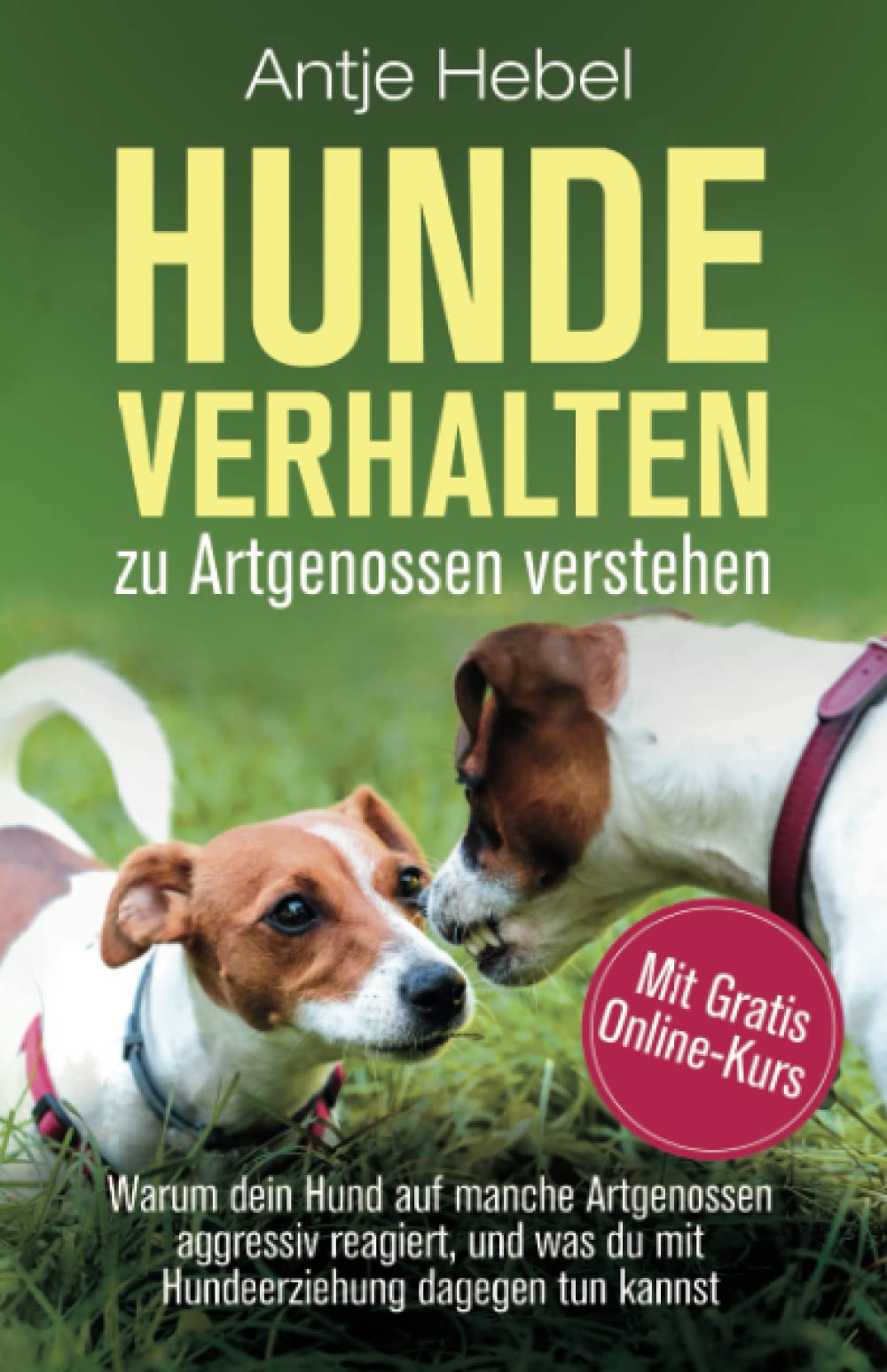 Hundeverhalten zu Artgenossen verstehen: Warum dein Hund auf manche Artgenossen aggressiv reagiert, und was du mit Hundeerziehung dagegen tun kannst Pets