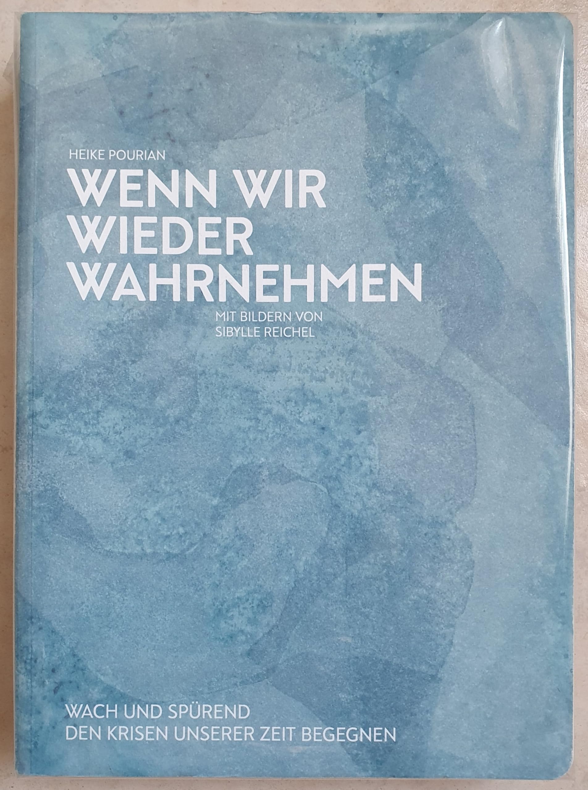 Wenn wir wieder wahrnehmen. Wach und spürend den Krisen unserer Zeit begegnen. Books