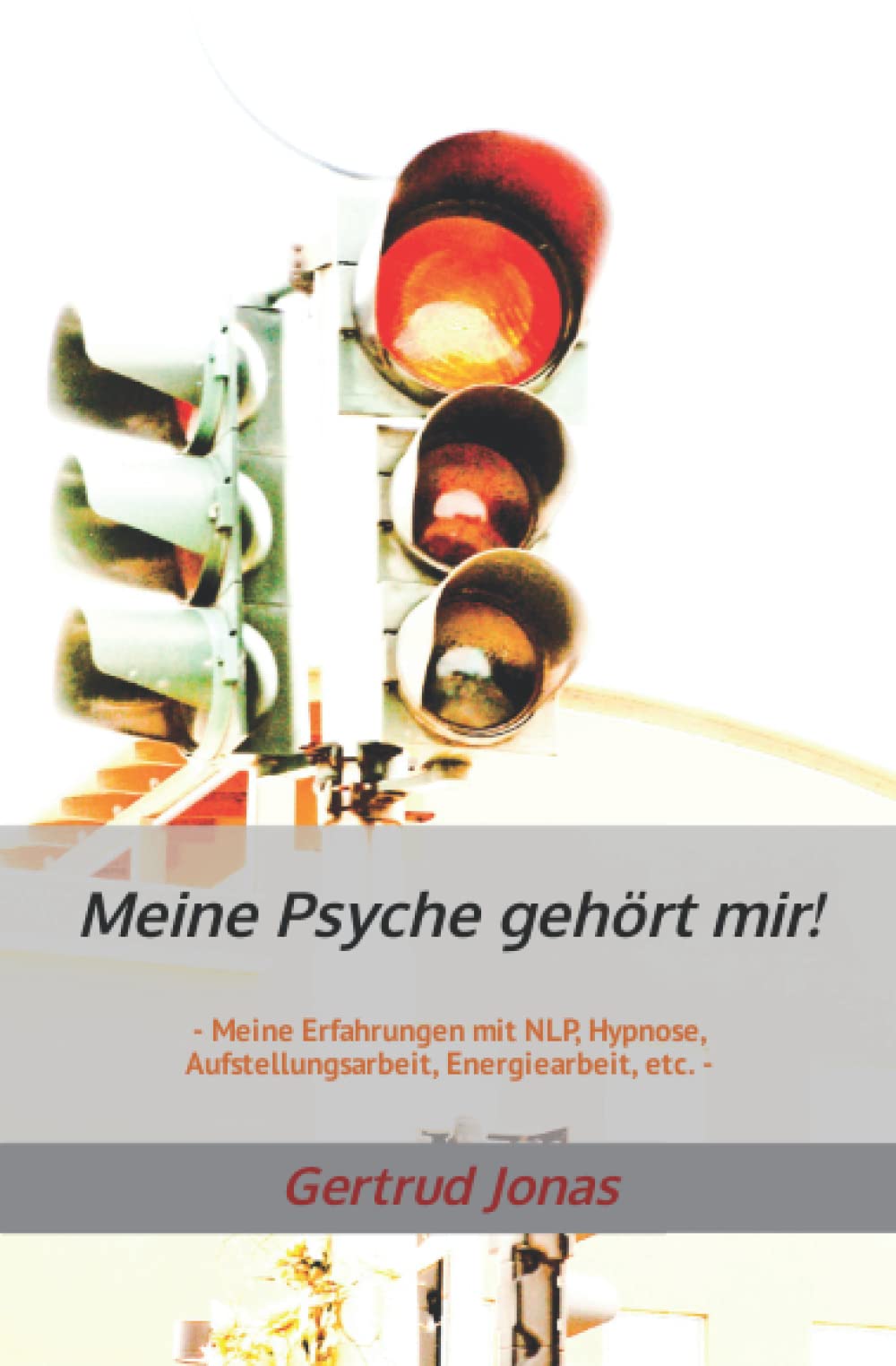 Meine Psyche gehört mir!: - Meine Erfahrungen mit NLP, Hypnose, Aufstellungsarbeit, Energiearbeit, etc. - Psychology