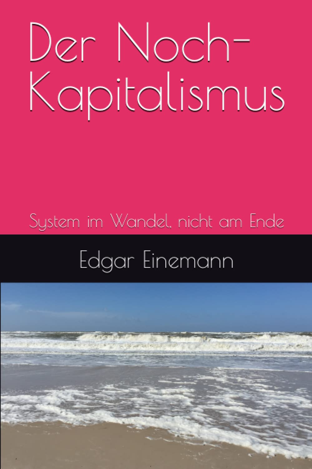 Der Noch-Kapitalismus: System im Wandel, nicht am Ende Social Sciences