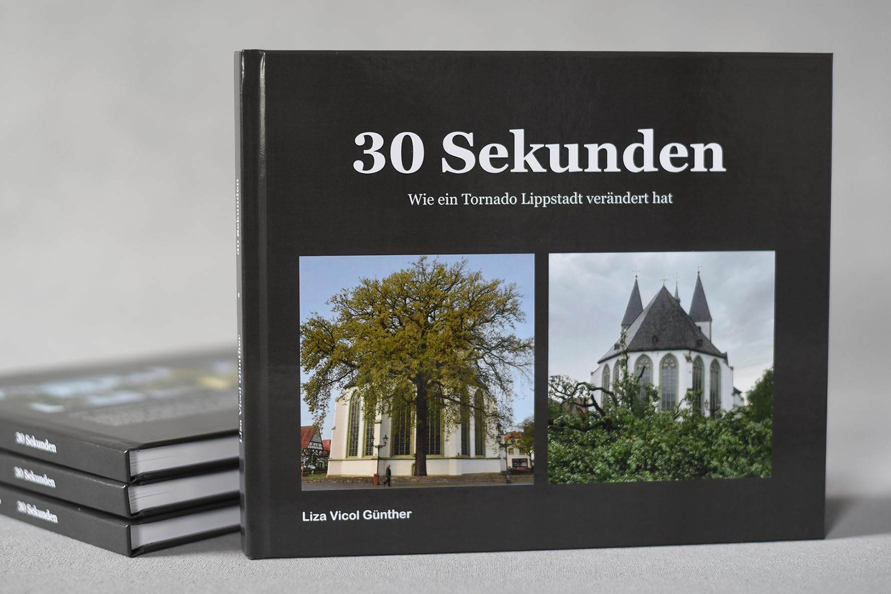 30 Sekunden - Wie ein Tornado Lippstadt verändert hat Books
