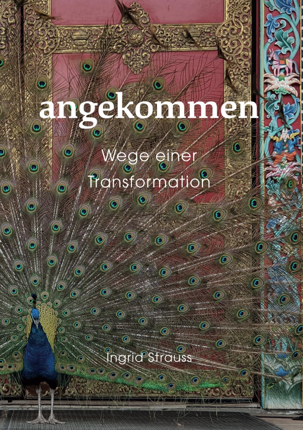angekommen: Wege einer Transformation Art & Literature Books