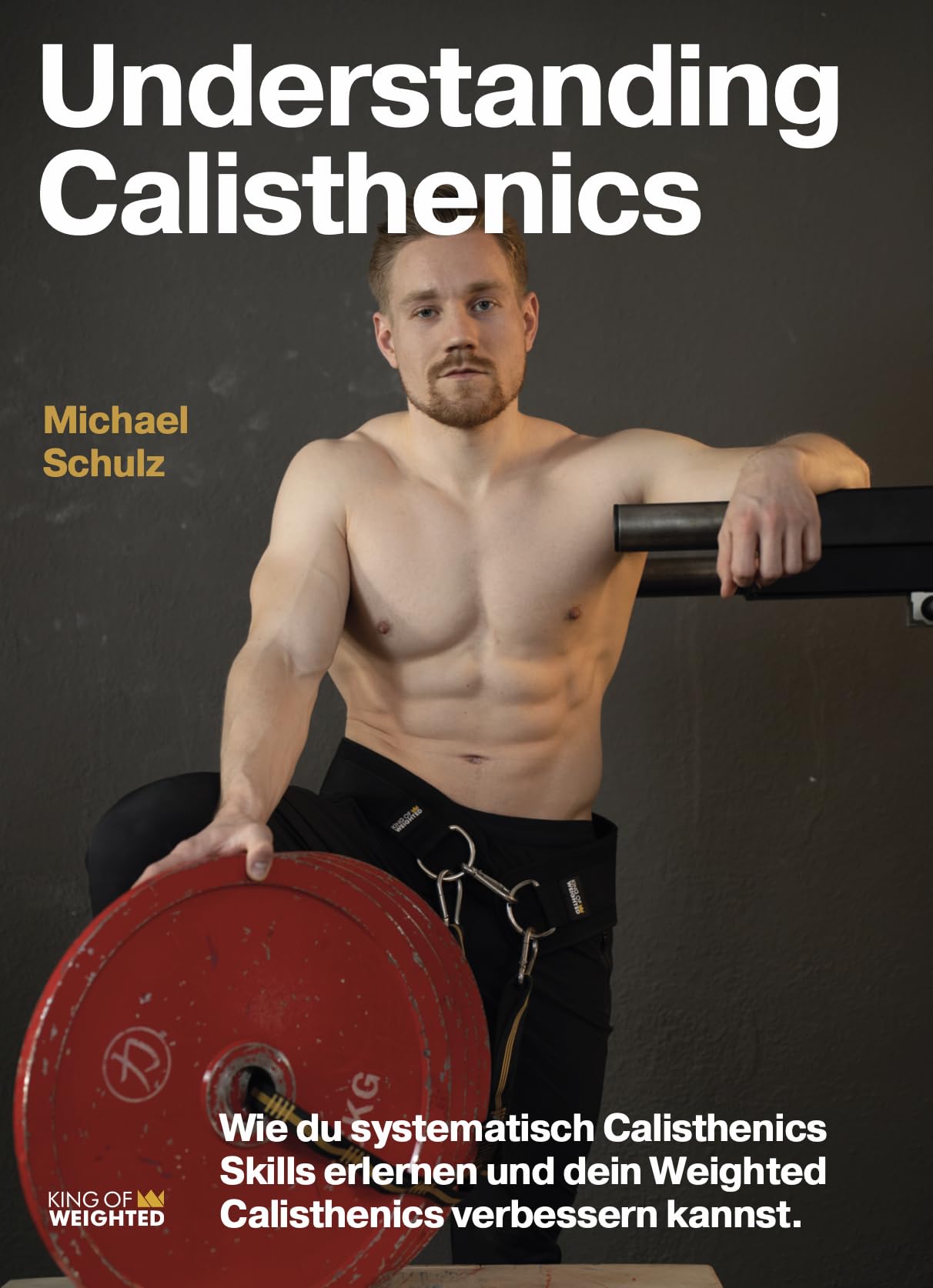 Understanding Calisthenics - Wie du systematisch Calisthenics Skills erlernen und dein Weighted Calisthenics verbessern kannst Leisure & Fun