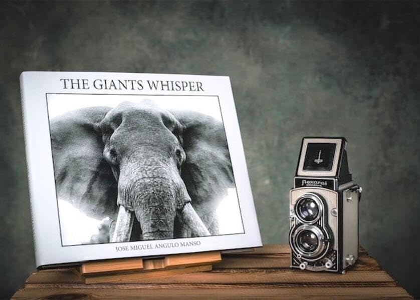 Product Image: THE GIANTS WHISPER