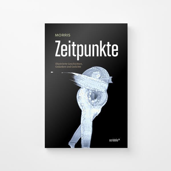 Zeitpunkte: Illustrierte Geschichten, Gedanken und Gedichte Contemporary literature