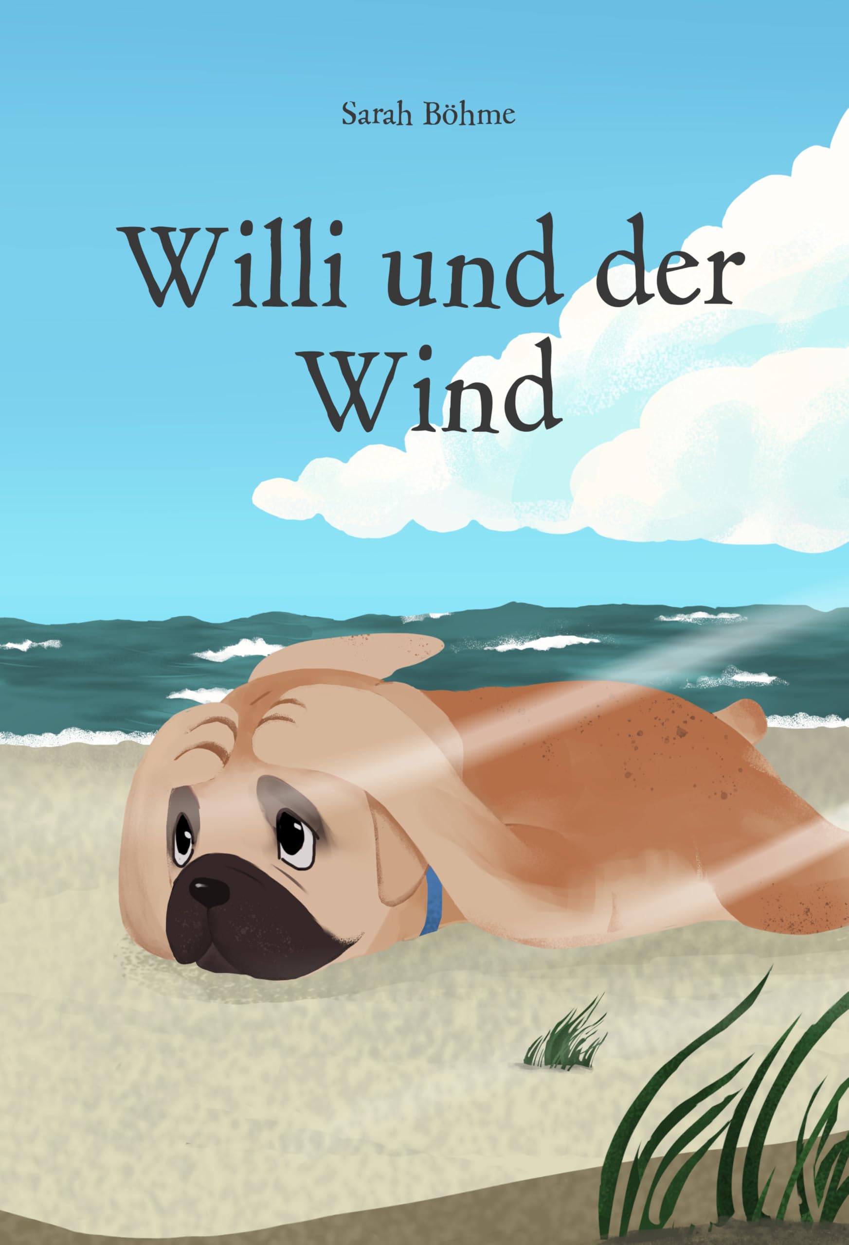 Willi und der Wind: Ein Bilderbuch über Mut, Freundschaft und das wunderbare Leben an der Ostsee für Kinder ab 3 Jahren Non-fiction