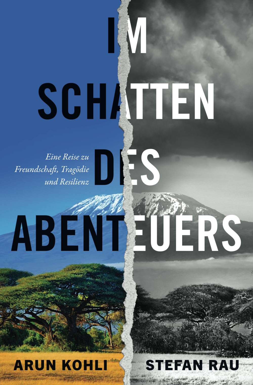 Im Schatten des Abenteuers: Eine Reise zu Freundschaft, Tragödie und Resilienz book