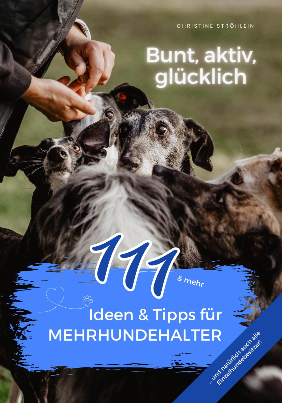 111 Ideen & Tipps für Mehrhundehalter: Bunt, aktiv, glücklich Pets