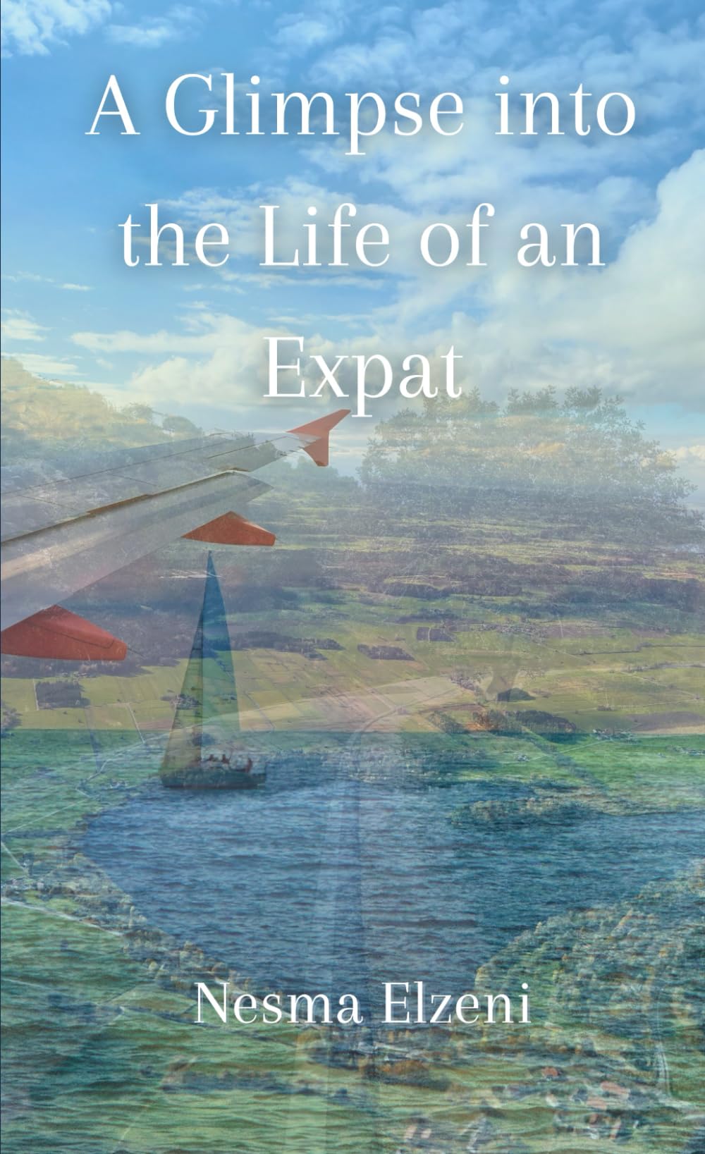 A Glimpse into the Life of an Expat Politics & Society