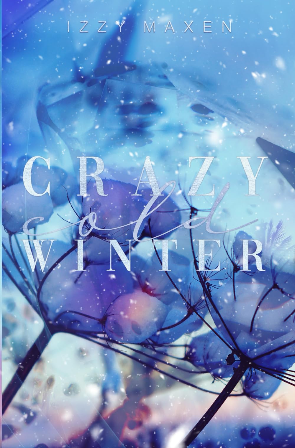 Product Image: Crazy Cold Winter (Crazy Love, Band 2)