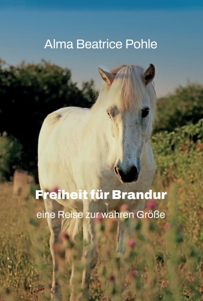Freiheit für Brandur – Eine Reise zur wahren Größe. Ein zutiefst berührendes Buch über Freiheit, Pferde, Heilung und weibliche Urkraft Books