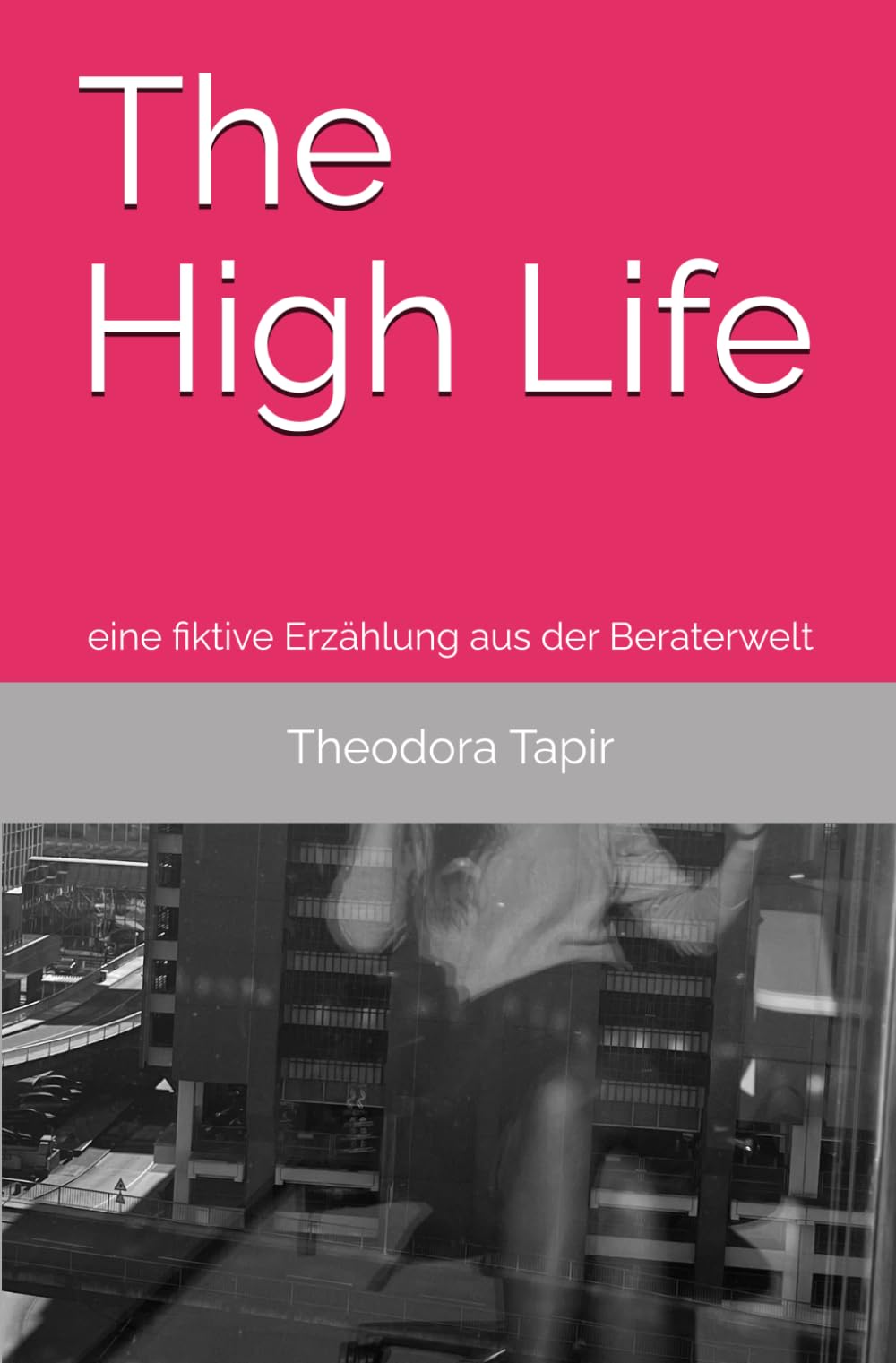 The High Life: eine fiktive Erzählung aus der Beraterwelt Essays & Short Stories