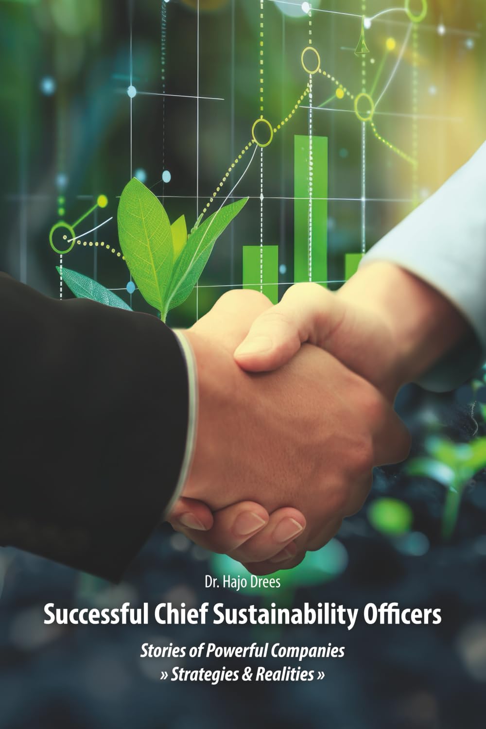 Successful Chief Sustainability Officers: Stories of Strong Companies - Strategies & Realities - Business, Finance & Career