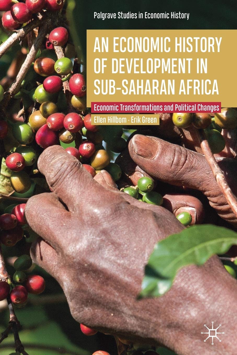 An Economic History of Development in sub-Saharan Africa: Economic Transformations and Political Changes (Palgrave Studies in Economic History) Law