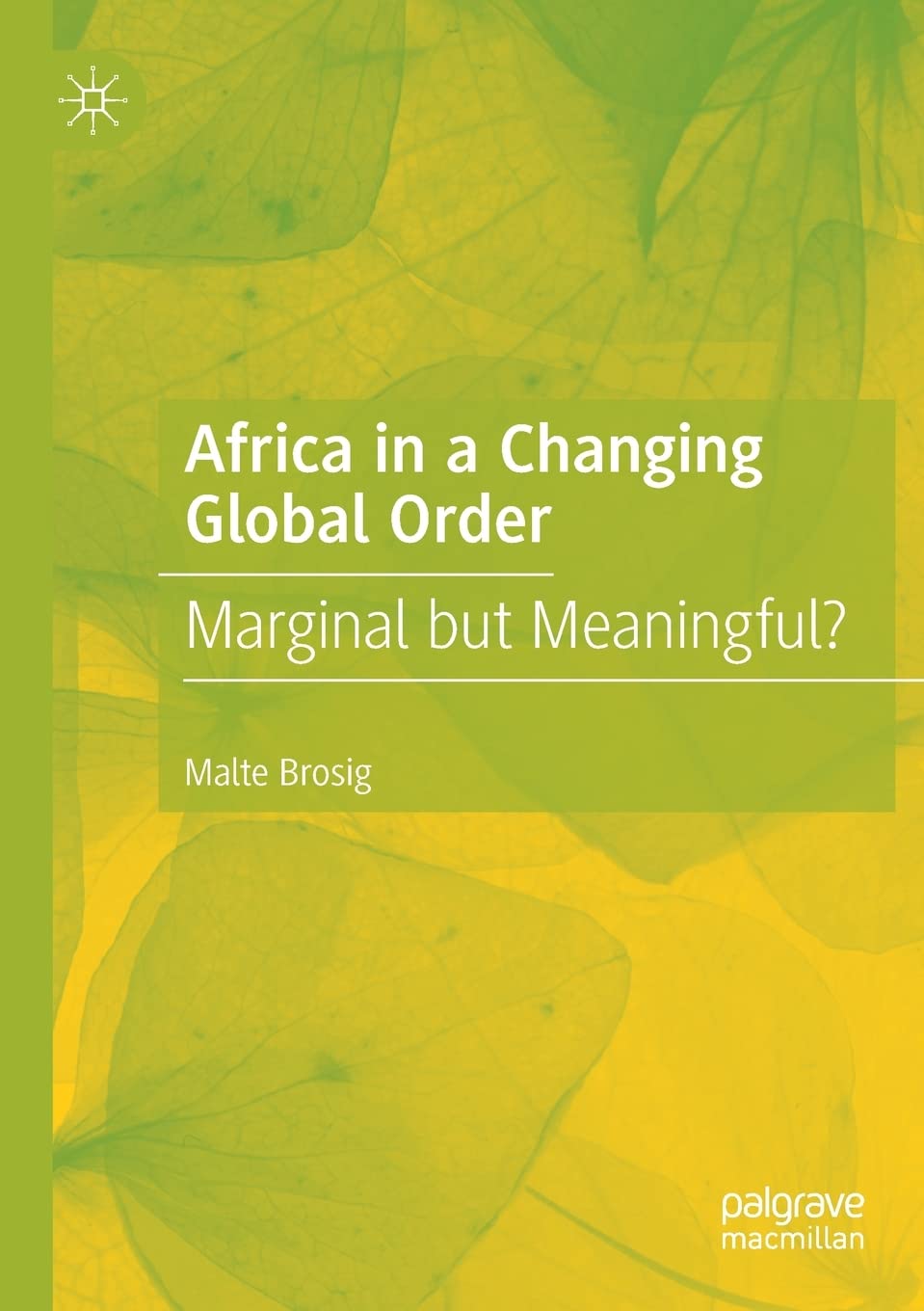 Africa in a Changing Global Order: Marginal but Meaningful? Law