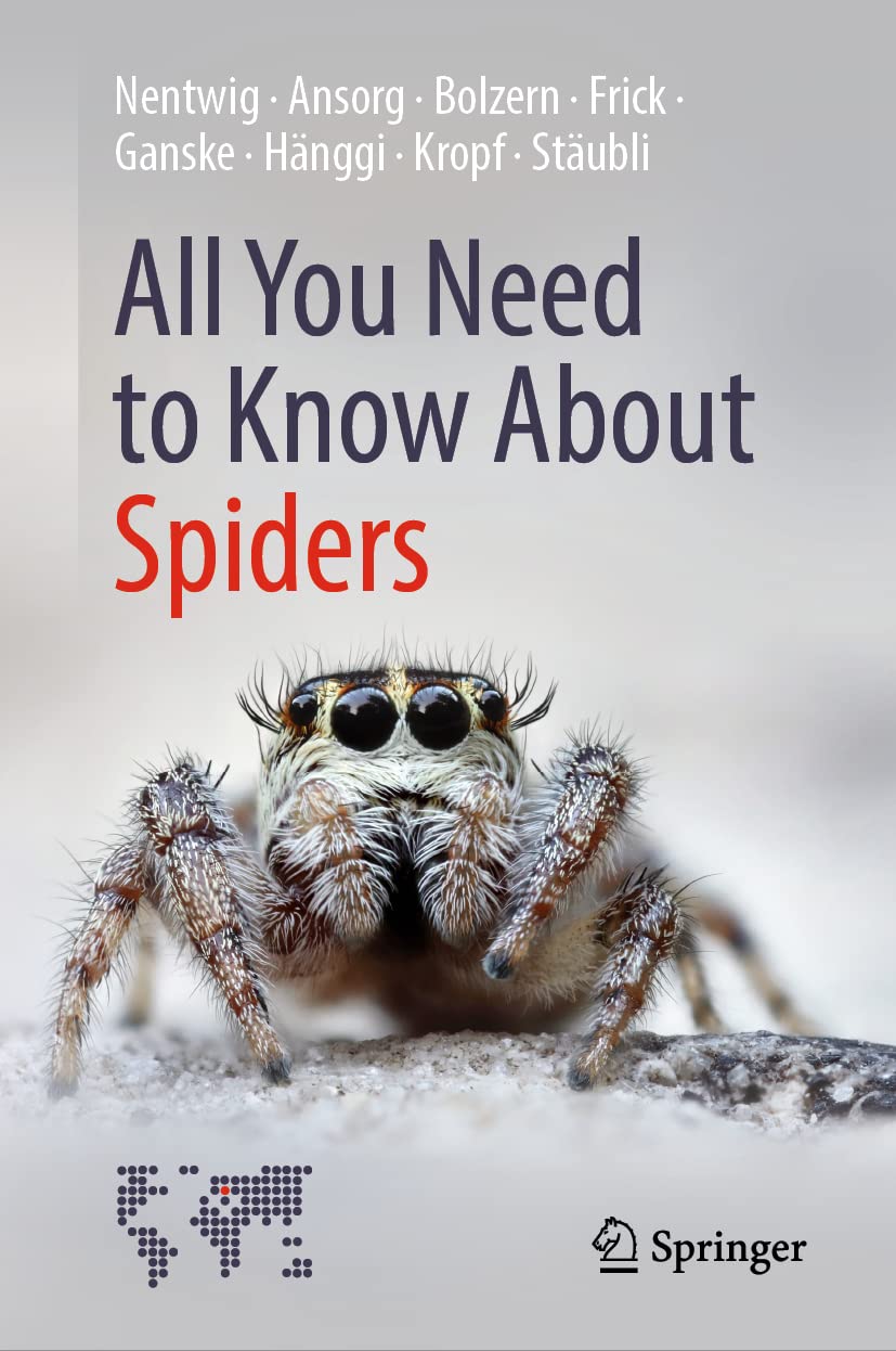 All You Need to Know About Spiders Medicine