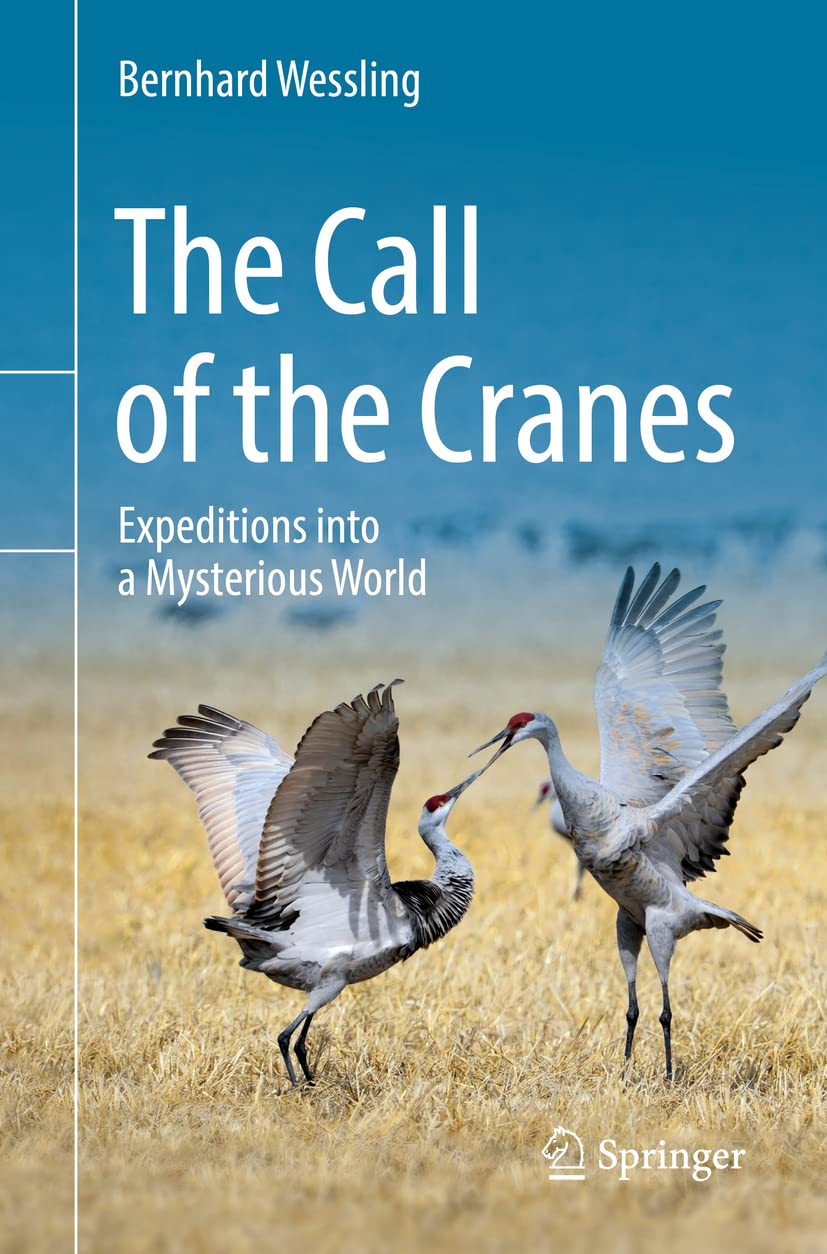The Call of the Cranes Mathematics