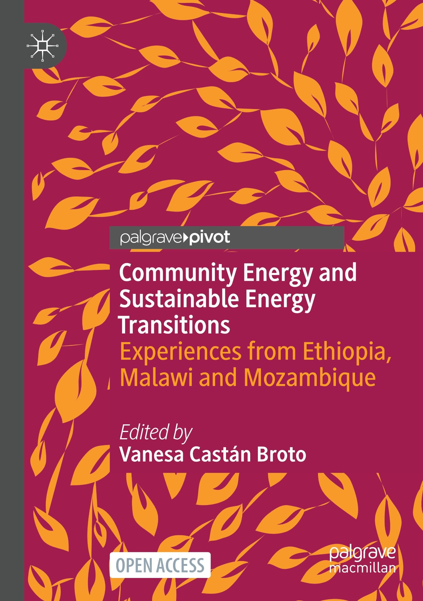 Community Energy and Sustainable Energy Transitions Law