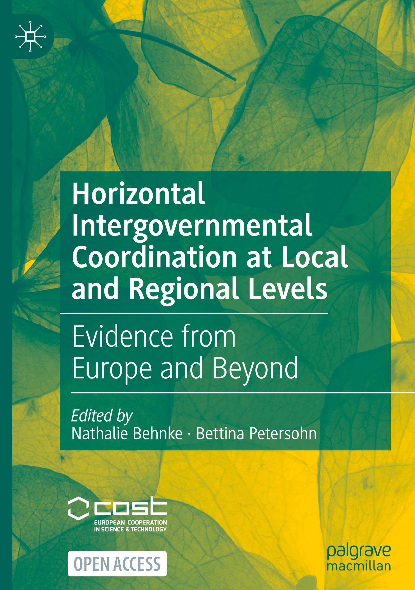 Horizontal Intergovernmental Coordination at Local and Regional Levels Law