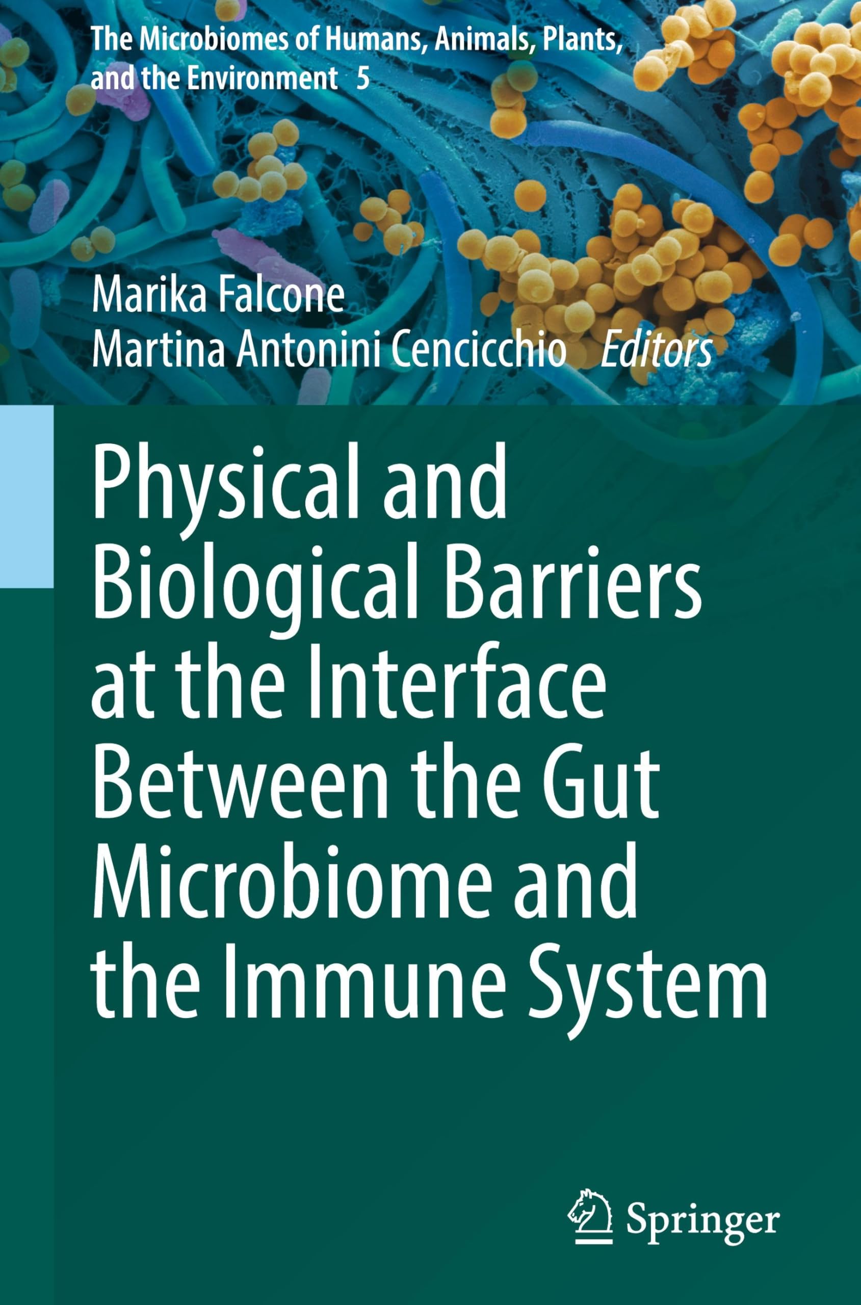 Physical and Biological Barriers at the Interface Between the Gut Microbiome and the Immune System Medicine