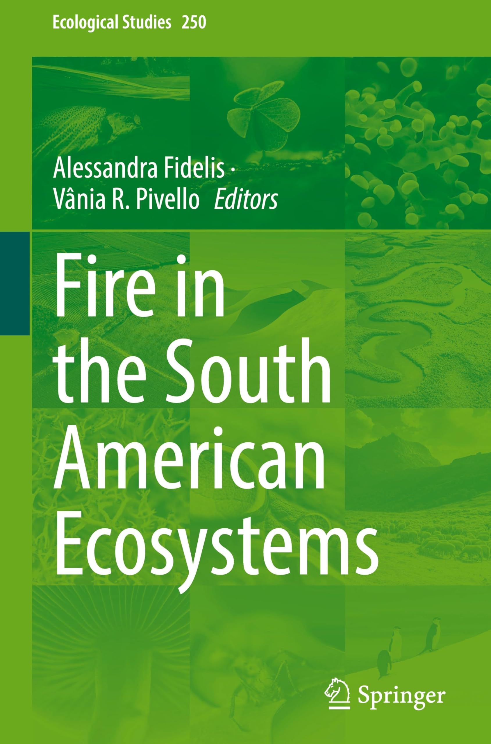 Fire in the South American Ecosystems Business & Technology