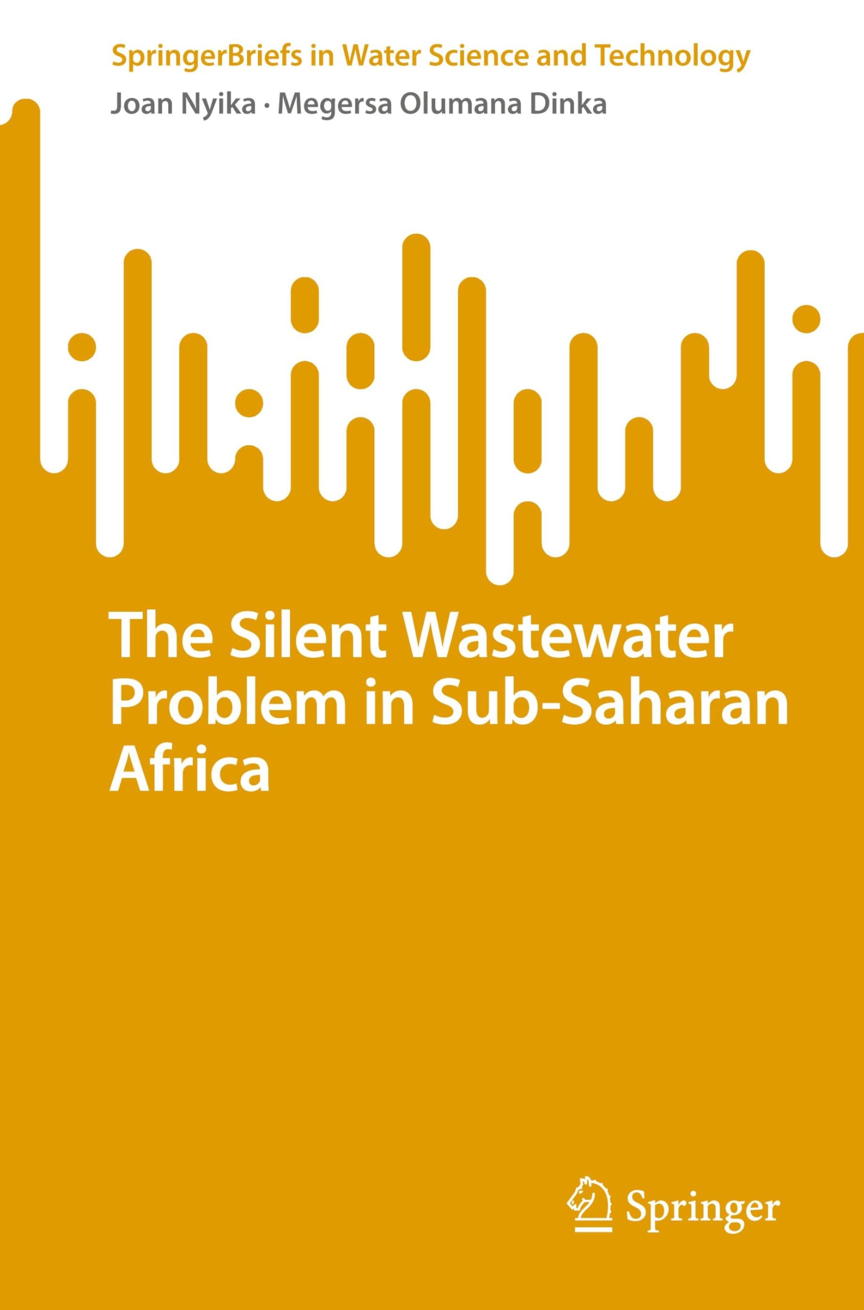 The Silent Wastewater Problem in Sub-Saharan Africa (SpringerBriefs in Water Science and Technology) Social Sciences