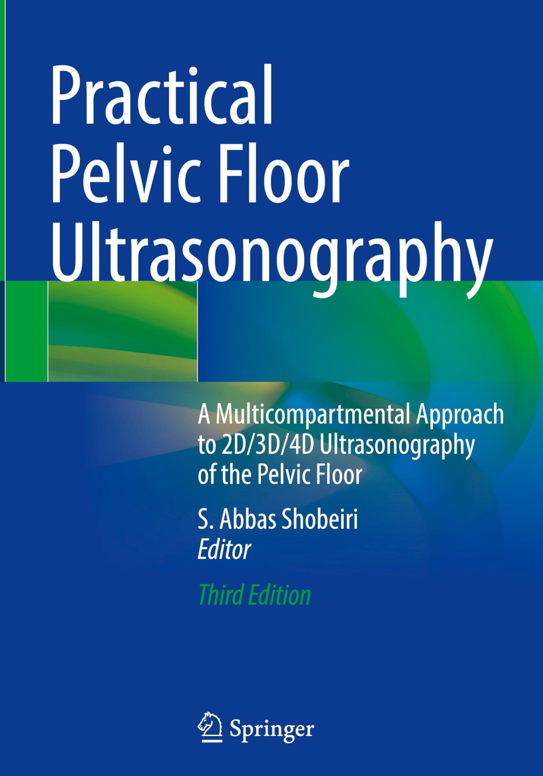 Practical Pelvic Floor Ultrasonography Medicine