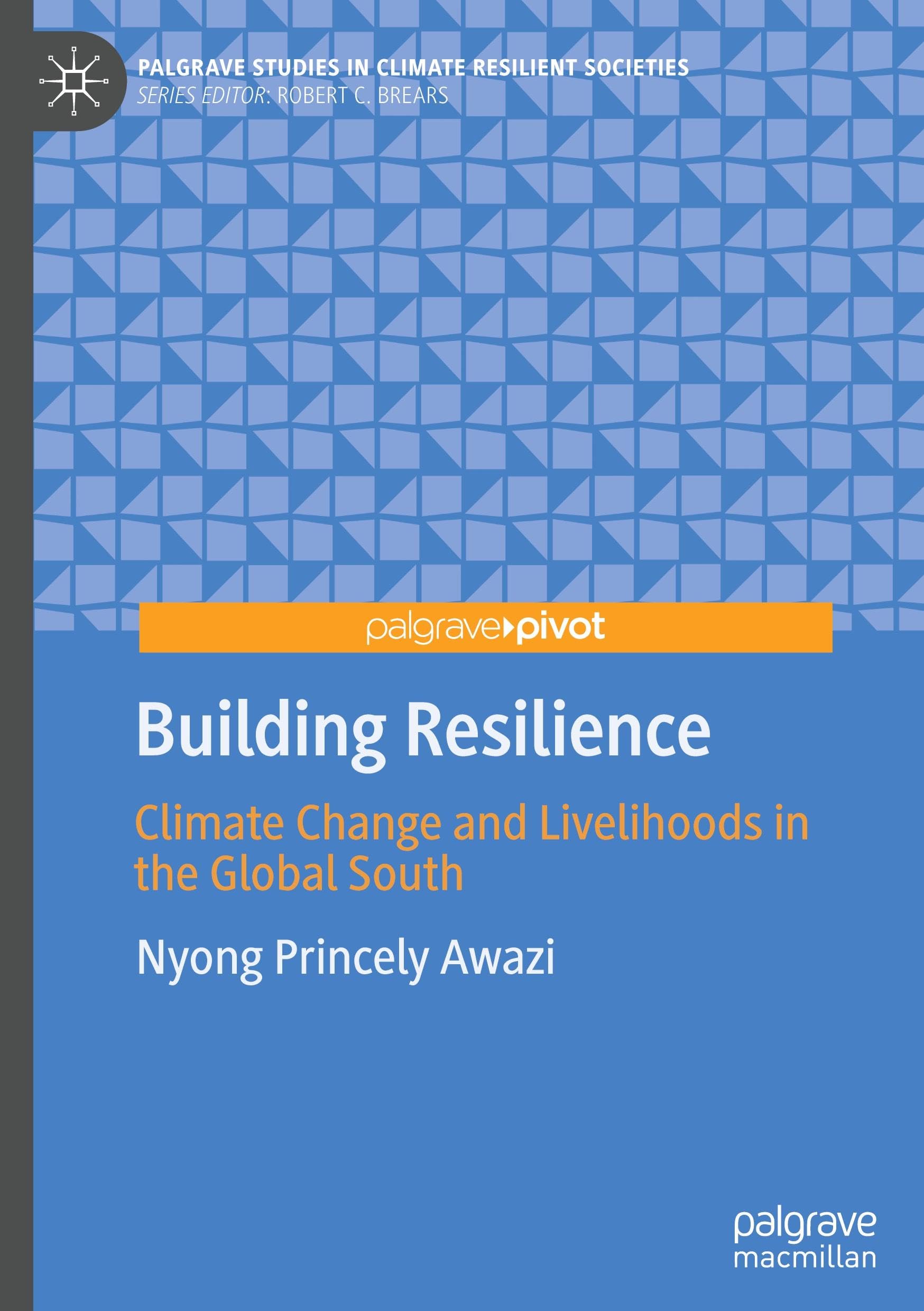Building Resilience Social Sciences