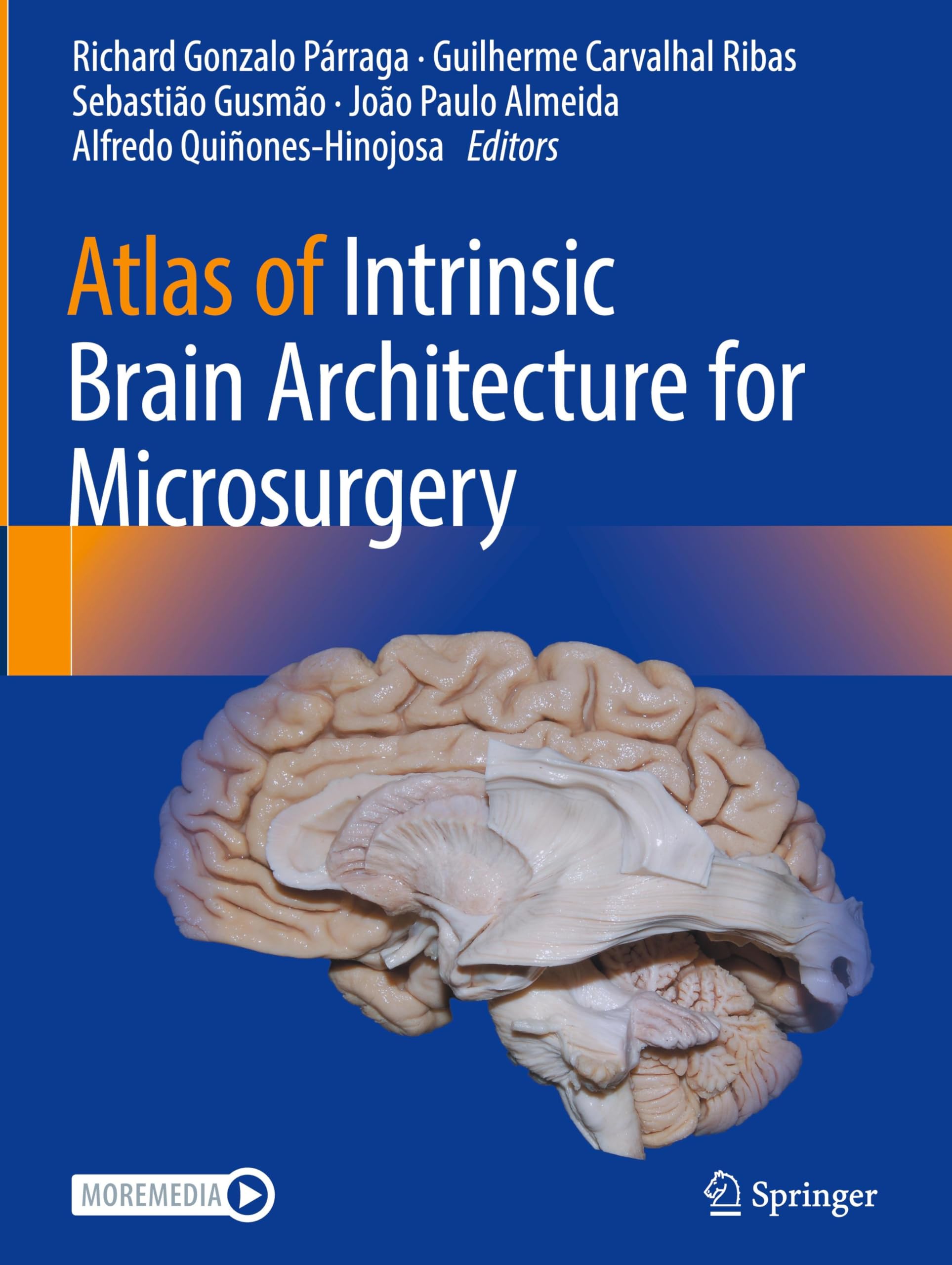 Atlas of Intrinsic Brain Architecture for Microsurgery Medicine